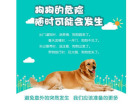 寵物定位器 守護(hù)愛(ài)寵的科技新寵